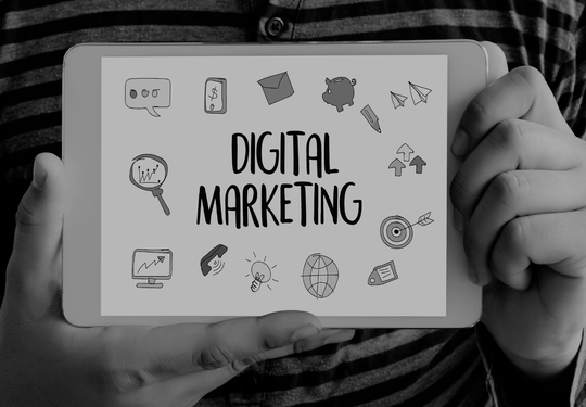 Merkclean Management