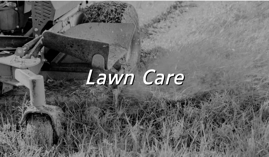 Merkclean Management