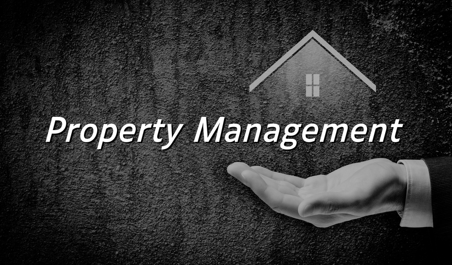 Merkclean Management