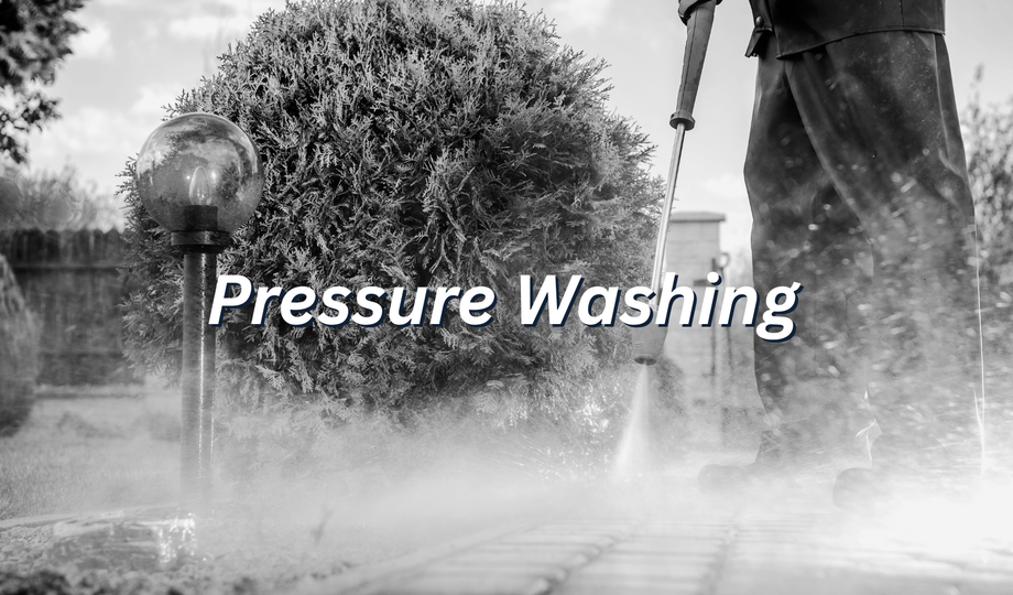 Merkclean Management